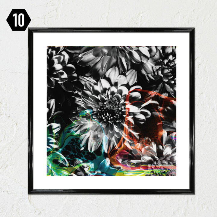 楽天市場 フレーム付 アートポスター 正方形 Botanical Modern モノトーン モノクロ 白黒 ポスター ジャケットサイズ アートパネル 玄関 インテリア アートフレーム モダン ボタニカル 植物 フワラー 花 シンプル シック 額付き ウォレナ 楽天市場店