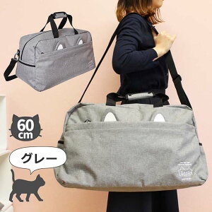 {XgobO Cws w ̎q 50L 50bg 3WAY 23 hvw-573 LOOSELY lR 2way{XgobO fB[X e ^{Xg ъԊwZ h C s {XgobO Cws 