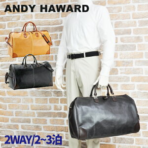 {XgobO Y g 2WAY {XgobO { 50cm ANDY HAWARD AfB[n[h s΂ sobO gxobO StobO X|[cobO e jp j