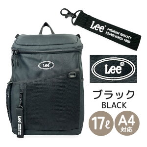 bN LbY w 17L 320-4933 Lee [ lucky {bNXbN obNpbN bNTbN fCpbN bN ߃bN A4NAt@C ^ubg[\ ʊw ʏm  C
