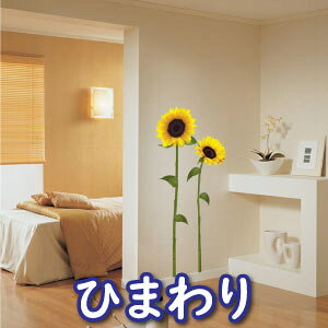 EH[XebJ[ k   gv gC v C mg[    ǎV[
