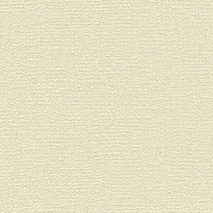 VR[/̂ǎENX BA7169y10Mzy݉iz