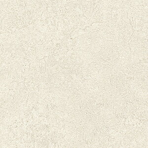 VR[/̂ǎENX BA7239y10Mzy݉iz