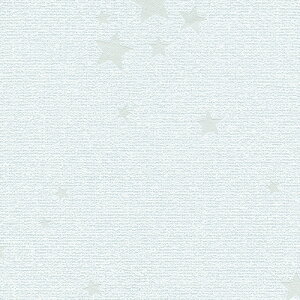 VR[/̂ǎENX BA7425y10Mzy݉iz