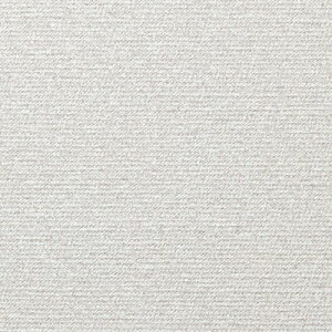 TQc/̂ǎENX FE76177y10Mzy݉iz