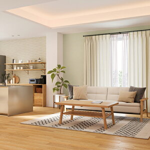 TQc/̂ǎENX FE76253y10Mzy݉iz