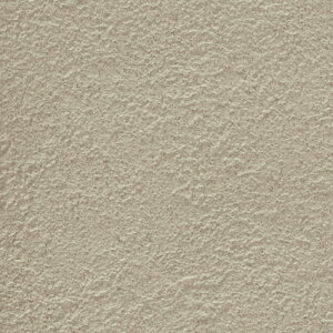 TQc/̂ǎENX FE76256y10Mzy݉iz