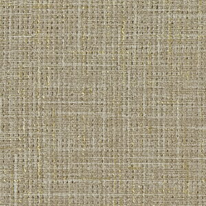 TQc/̂ǎENX FE76351y10Mzy݉iz