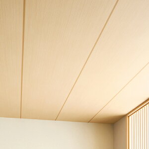 TQc/̂ǎENX FE76544y10Mzy݉iz