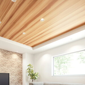 TQc/̂ǎENX FE76588y10Mzy݉iz