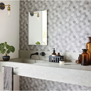 TQc/̂ǎENX FE76623y10Mzy݉iz