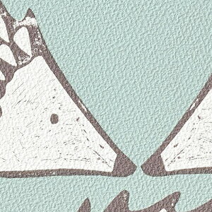 TQc/̂ǎENX FE76738y10Mzy݉iz