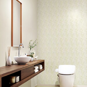 TQc/̂ǎENX FE76823y10Mzy݉iz