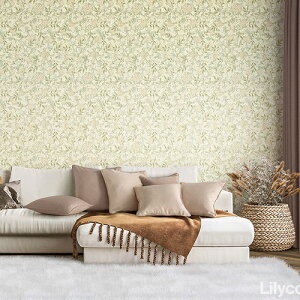 J/̂ǎENX LV2009y10Mzy݉iz