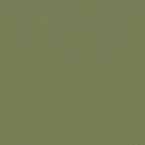 J/̂ǎENX LV2027y10Mzy݉iz