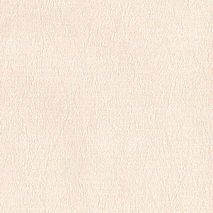 J/̂ǎENX LV2420y10Mzy݉iz