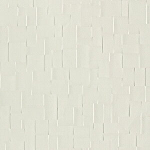 J/̂ǎENX LV2551y10Mzy݉iz