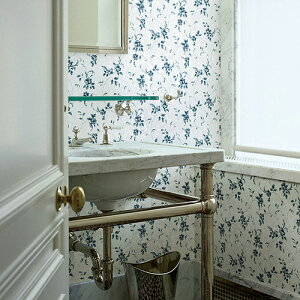 �����J��/���̂���ǎ��E�N���X LV2586�y10M���z�y�������݉��i�z