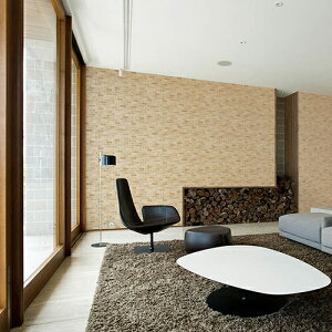 J/̂ǎENX LW262y10Mzy݉iz