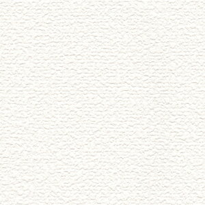 J/̂ǎENX LW386y10Mzy݉iz