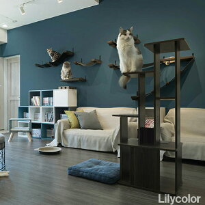 J/̂ǎENX LW443y10Mzy݉iz