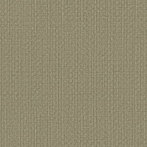 J/̂ǎENX LW50y10Mzy݉iz