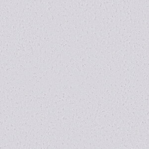 TQc/̂ǎENX RE55030y10Mzy݉iz