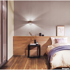 TQc/̂ǎENX RE55139y10Mzy݉iz