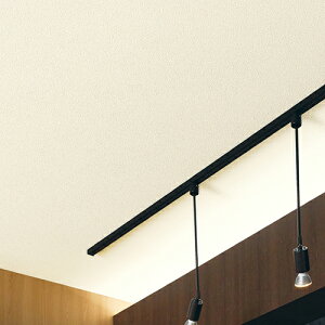 TQc/̂ǎENX RE55202y10Mzy݉iz