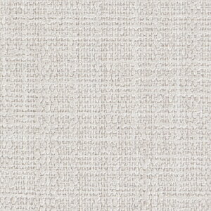 TQc/̂ǎENX RE55253y10Mzy݉iz