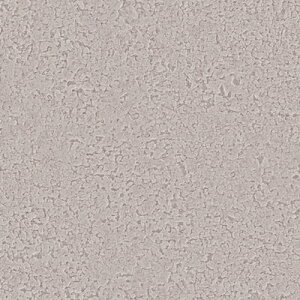 TQc/̂ǎENX RE55295y10Mzy݉iz