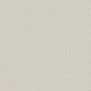 TQc/̂ǎENX RE55362y10Mzy݉iz