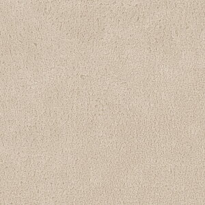 TQc/̂ǎENX RE55459y10Mzy݉iz