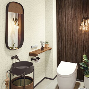 TQc/̂ǎENX RE55505y10Mzy݉iz