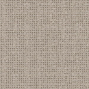 TQc/̂ǎENX RE55514y10Mzy݉iz