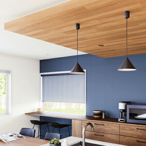 TQc/̂ǎENX RE55599y10Mzy݉iz