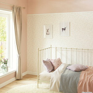 TQc/̂ǎENX RE55848y10Mzy݉iz