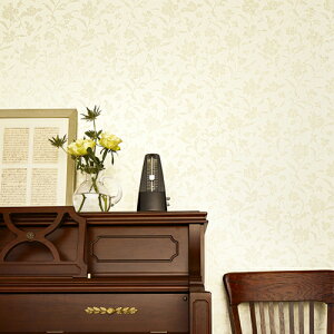 TQc/̂ǎENX RE55920y10Mzy݉iz