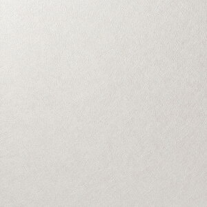 m/̂ǎENX RF8202y10Mzy݉iz