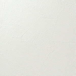 m/̂ǎENX RF8291y10Mzy݉iz