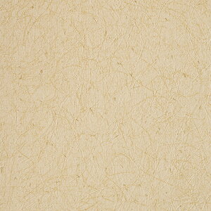 m/̂ǎENX RH9335y10Mzy݉iz