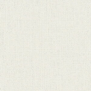 VR[/̂ǎENX RJ4820y10Mzy݉iz