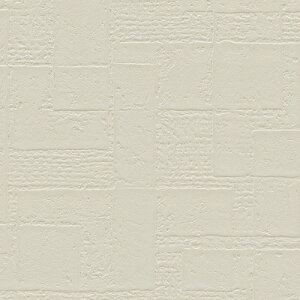 VR[/̂ǎENX RJ4899y10Mzy݉iz