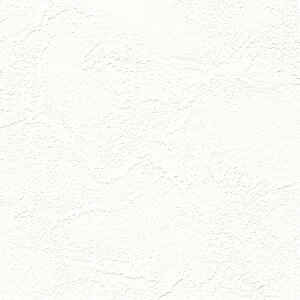 m/̂ǎENX RM841y10Mzy݉iz