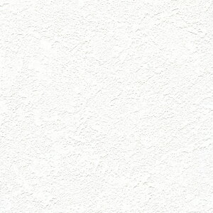 m/̂ǎENX RM843y10Mzy݉iz