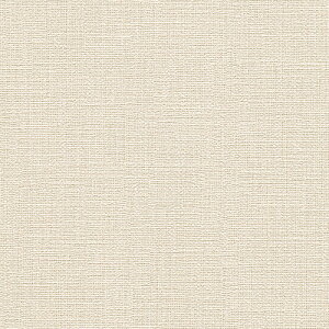 m/̂ǎENX RM872y10Mzy݉iz