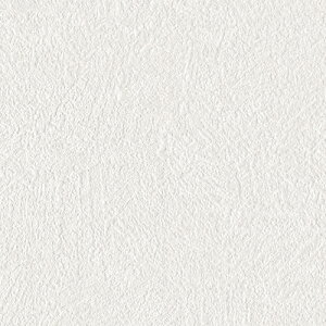 VR[/̂ǎENX SLP239y10Mzy݉iz