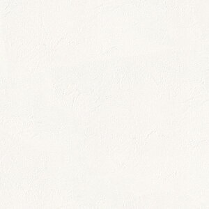 VR[/̂ǎENX SLP245y10Mzy݉iz