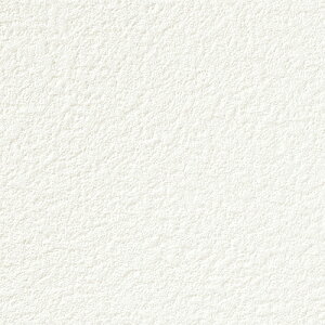 TQc/̂ǎENX SP9705y10Mzy݉iz