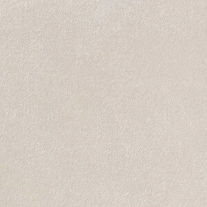 TQc/̂ǎENX TH32010y10Mzy݉iz